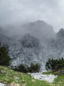 Treffauer (Wilder Kaiser)